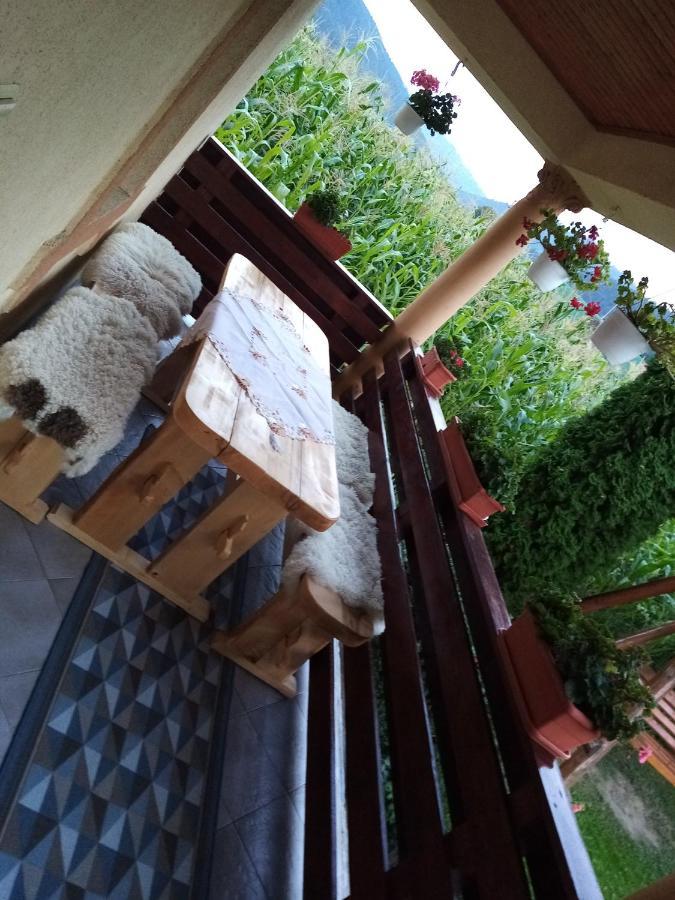 Casa Prundari Nicu Si Mirela Hotel Poiana Teiului Exterior photo