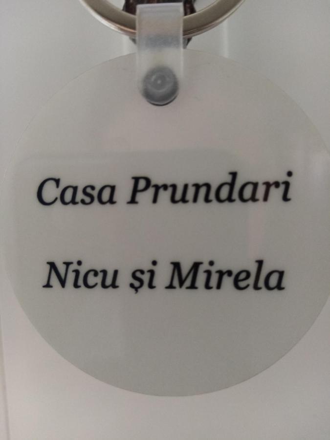 Casa Prundari Nicu Si Mirela Hotel Poiana Teiului Exterior photo